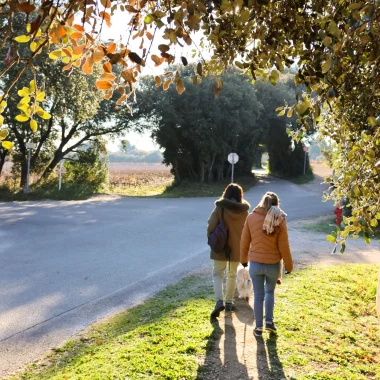 Que faire pendant les vacances d’automne à Avignon ? Le beau, le bon et la nature
