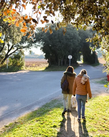 Que faire pendant les vacances d’automne à Avignon ? Le beau, le bon et la nature
