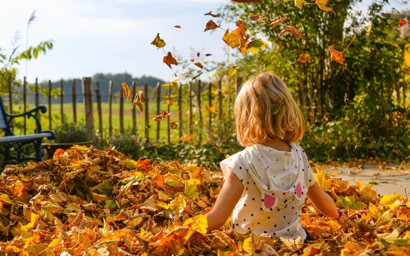 Halloween in the Grand Avignon What to do during the All Saints' Day holidays?