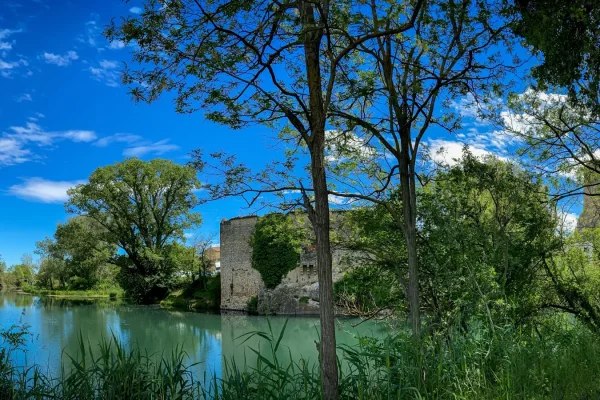 ile miemart roquemaure