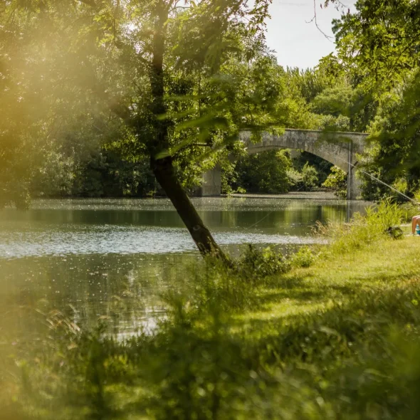 peche ile miemart roquemaure