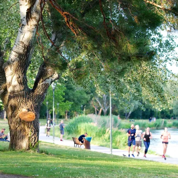 coureurs ile barthelasse avignon