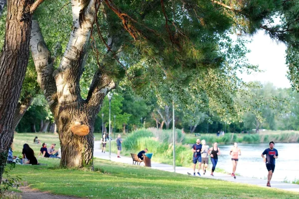 coureurs ile barthelasse avignon