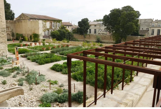 jardin des palais avignon