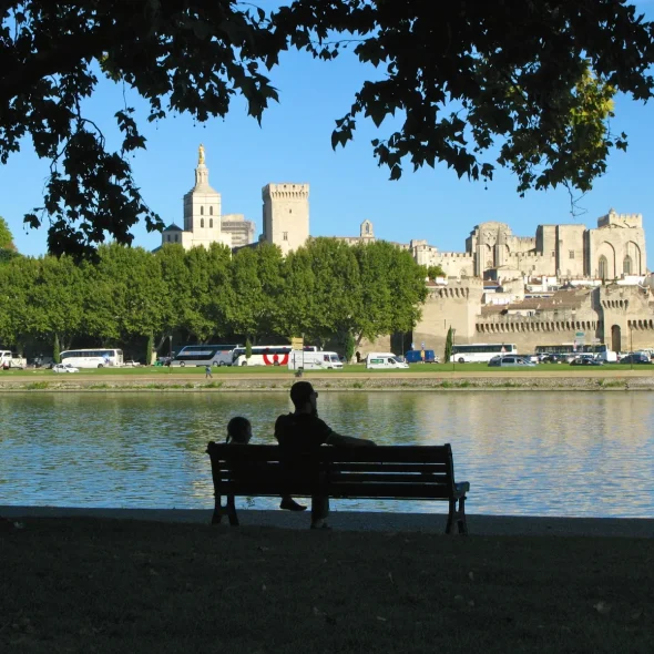 pont avignon ile barthelasse