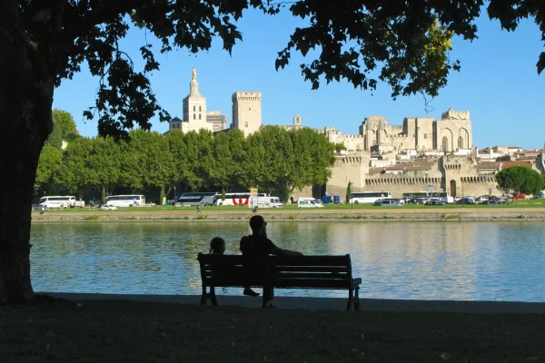 pont avignon ile barthelasse