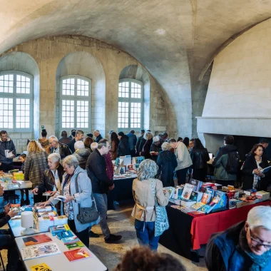 public stand festival polar villeneuve lez avignon