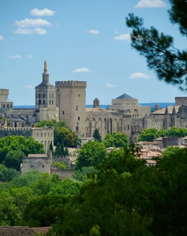 vue palais papes