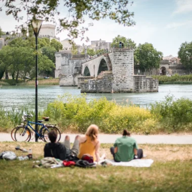 ile barthelasse avignon