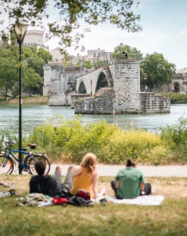 ile barthelasse avignon