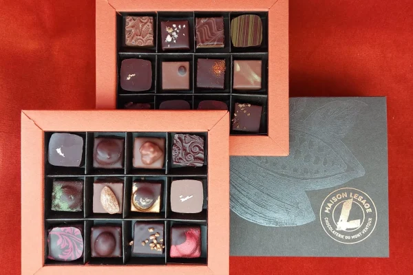 Maison Lesage chocolats Morières-lès-Avignon