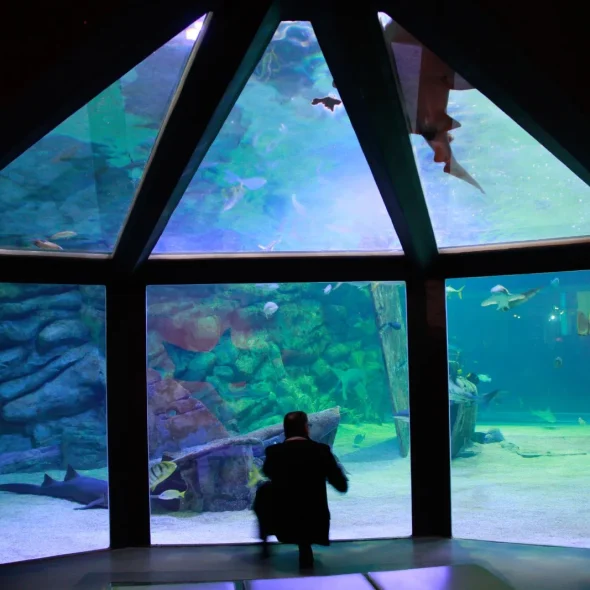 Seaquarium port Camargue