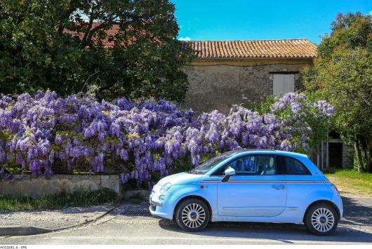 voiture