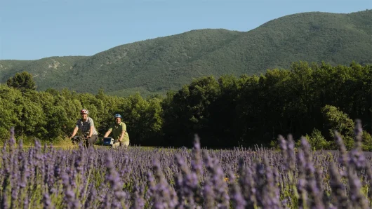 A vélo dans le lubéron