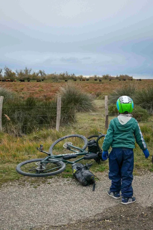 Vélo en Camargue avec des enfants