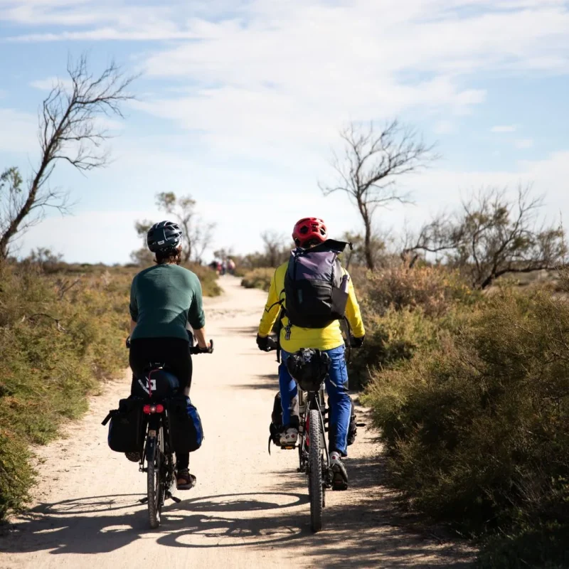 Aventure vélo en Camargue