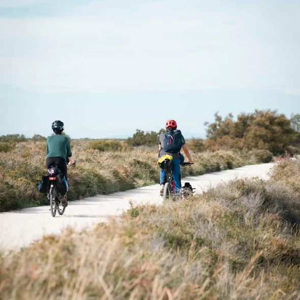 Aventure en vélo en Camargue