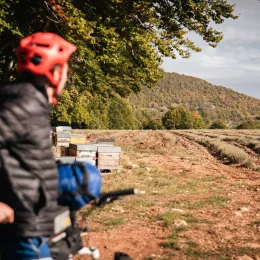 vélo sous les étoiles