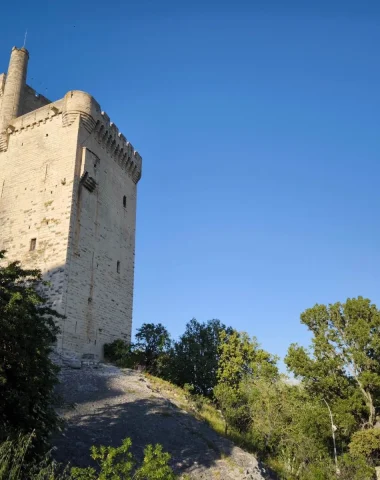 Tour Philippe le Bel Villeneuve lez Avignon