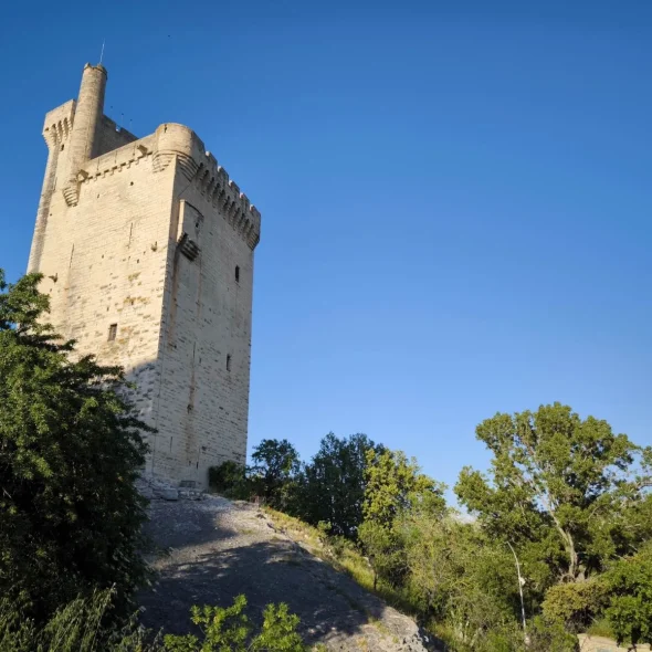 Tour Philippe le Bel Villeneuve lez Avignon